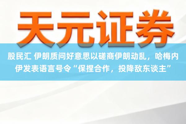 股民汇 伊朗质问好意思以磋商伊朗动乱，哈梅内伊发表语言号令“保捏合作，投降敌东谈主”