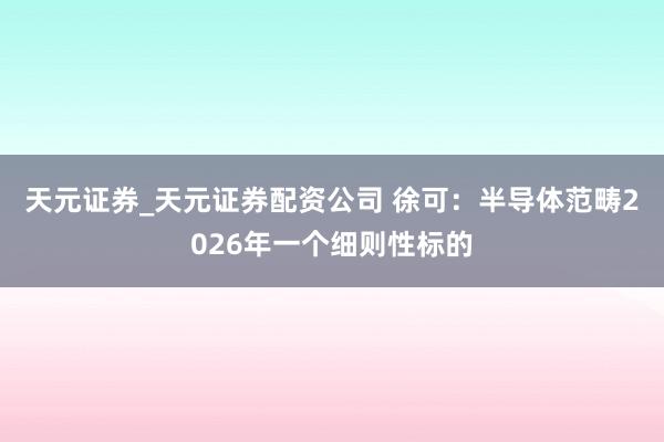 天元证券_天元证券配资公司 徐可：半导体范畴2026年一个细则性标的